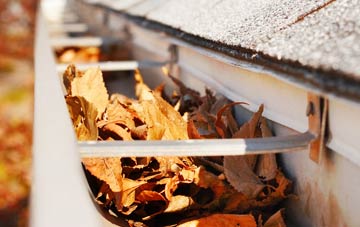 Holly Hill gutter cleaning companies