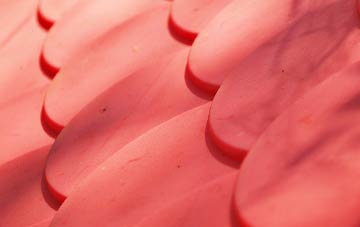 Holly Hill plastic roof costs